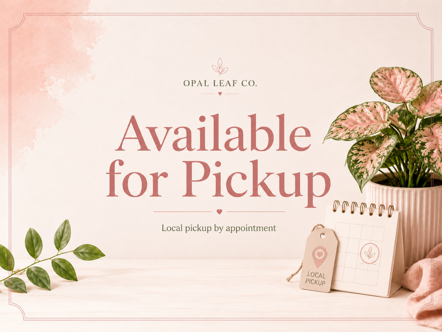 Local Pickup- Accessories and Supplies