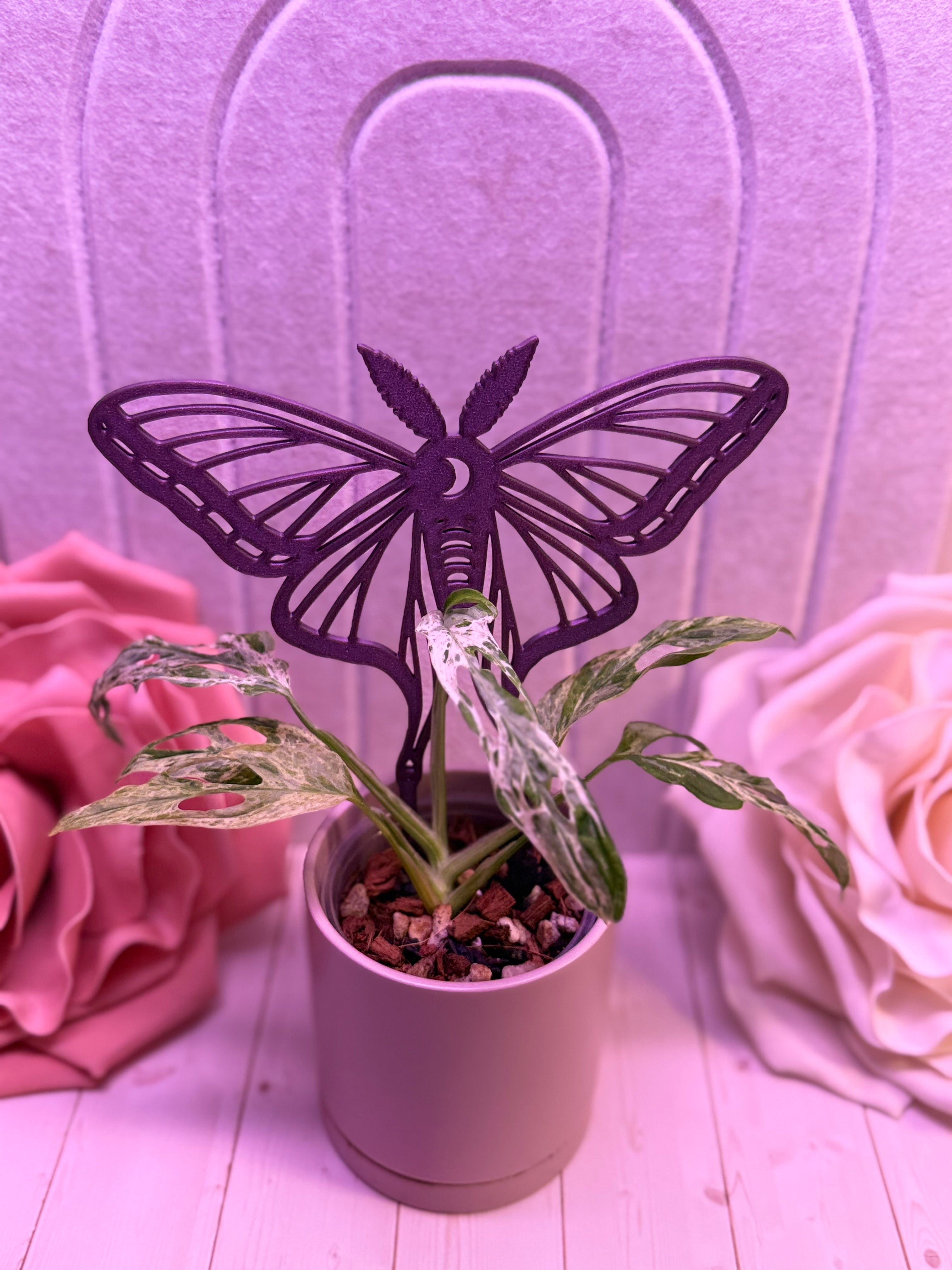 Luna Moth Plant Trellis