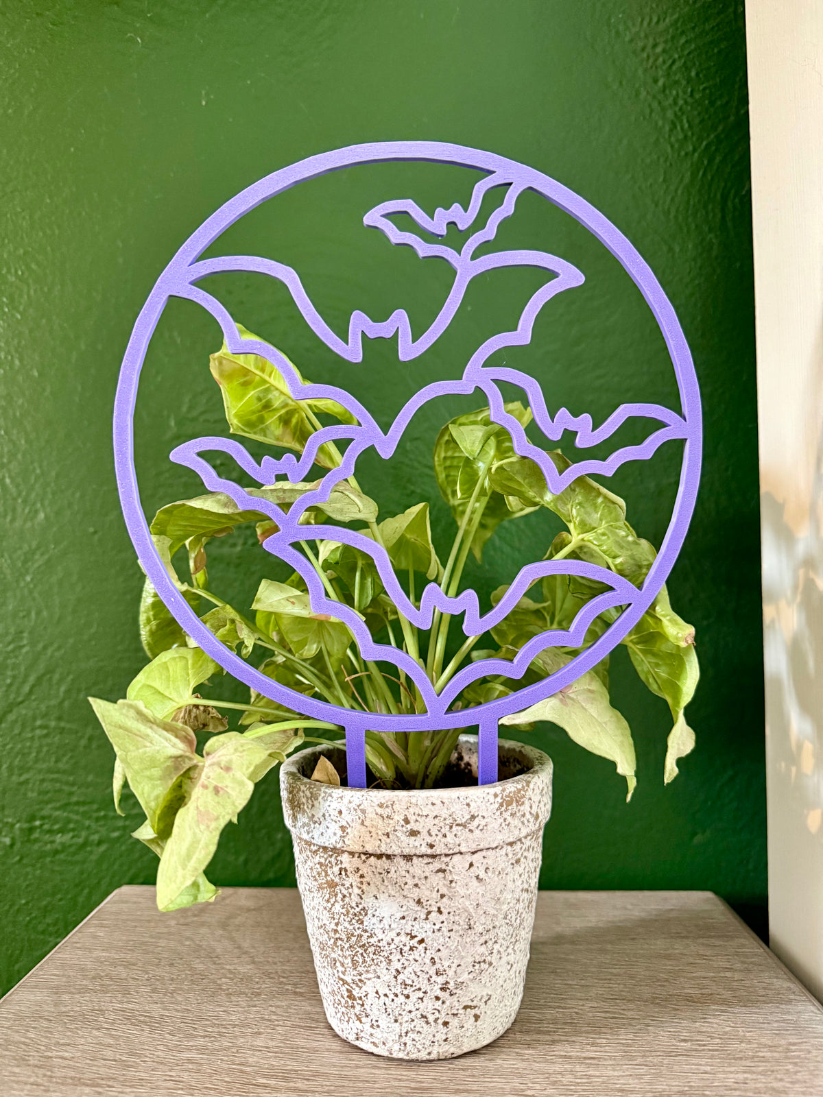 It’s Batty! Trellis