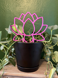 Lotus Trellis