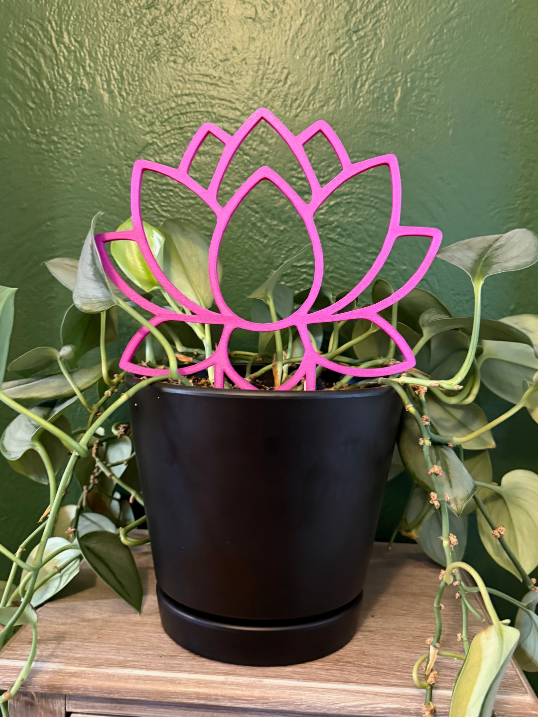 Lotus Trellis