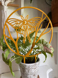 Moth Trellis