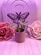 Luna Moth Plant Trellis