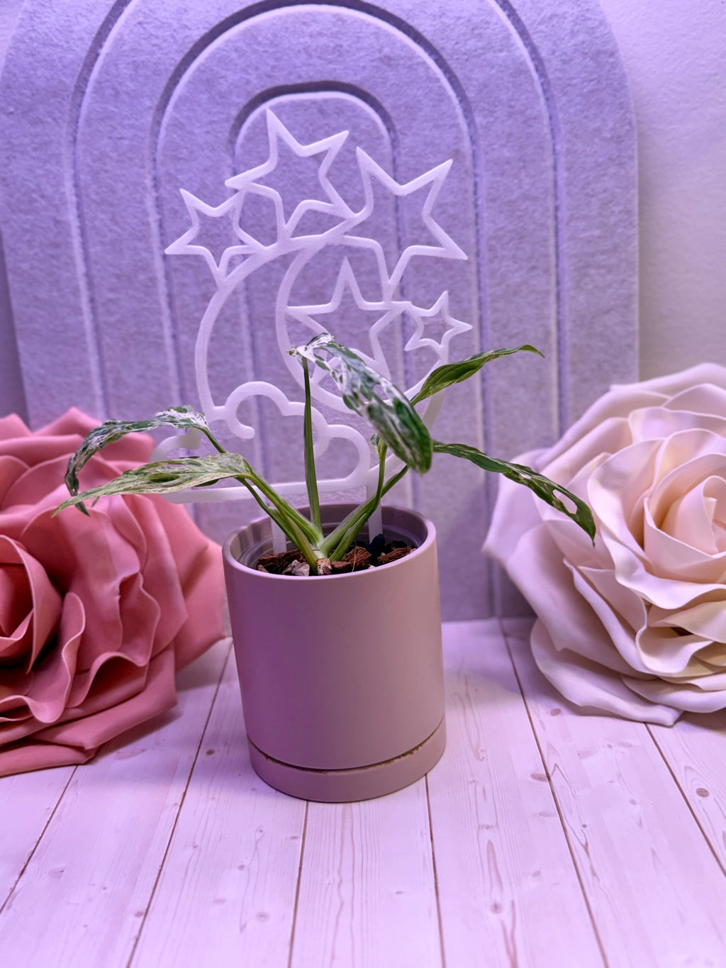 Moon and Stars Trellis