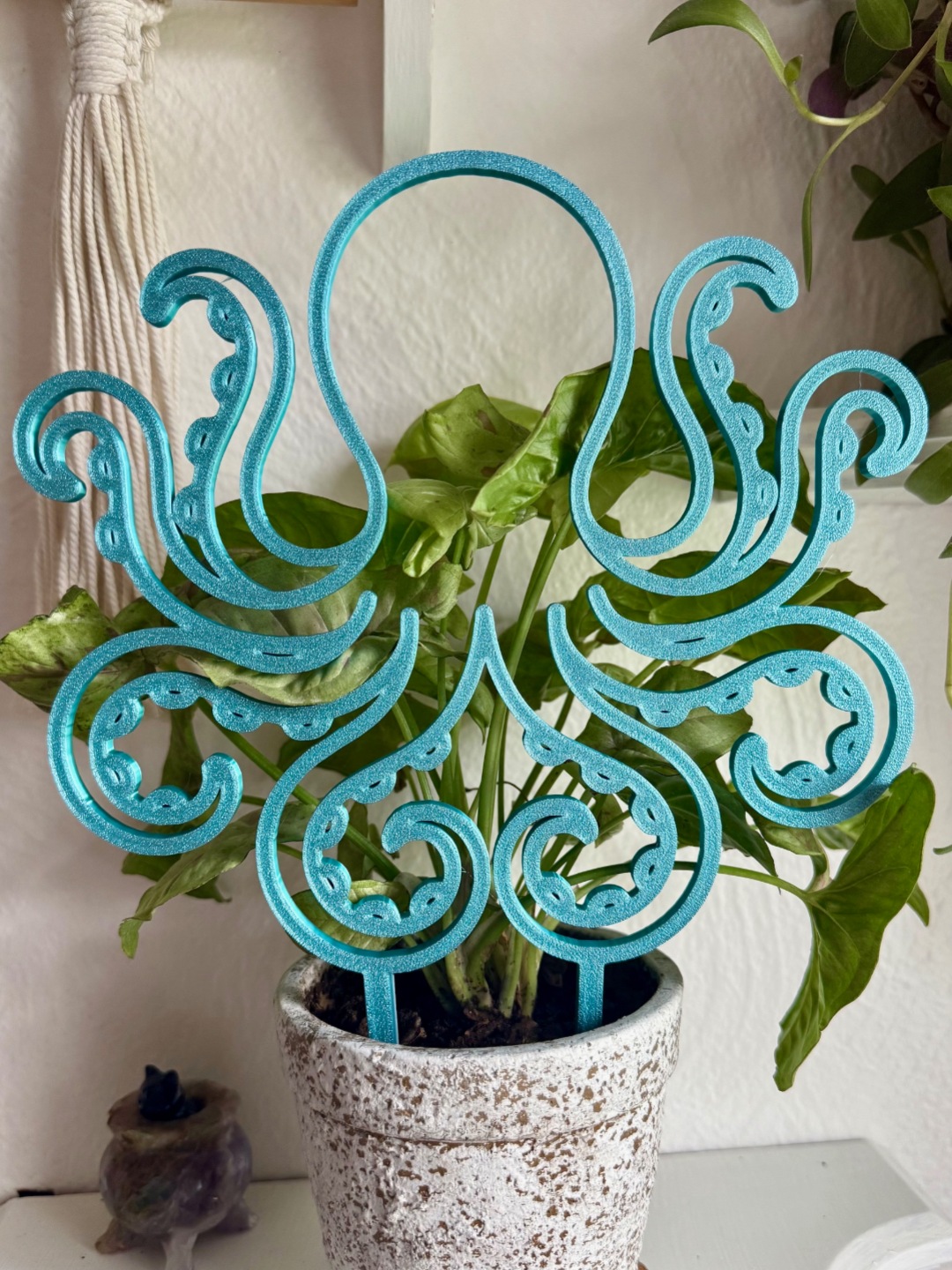 Octopus Trellis