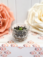 Mini Pinguicula “Lindy Lou” Starter in Glass Cup