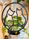 Cats trellis