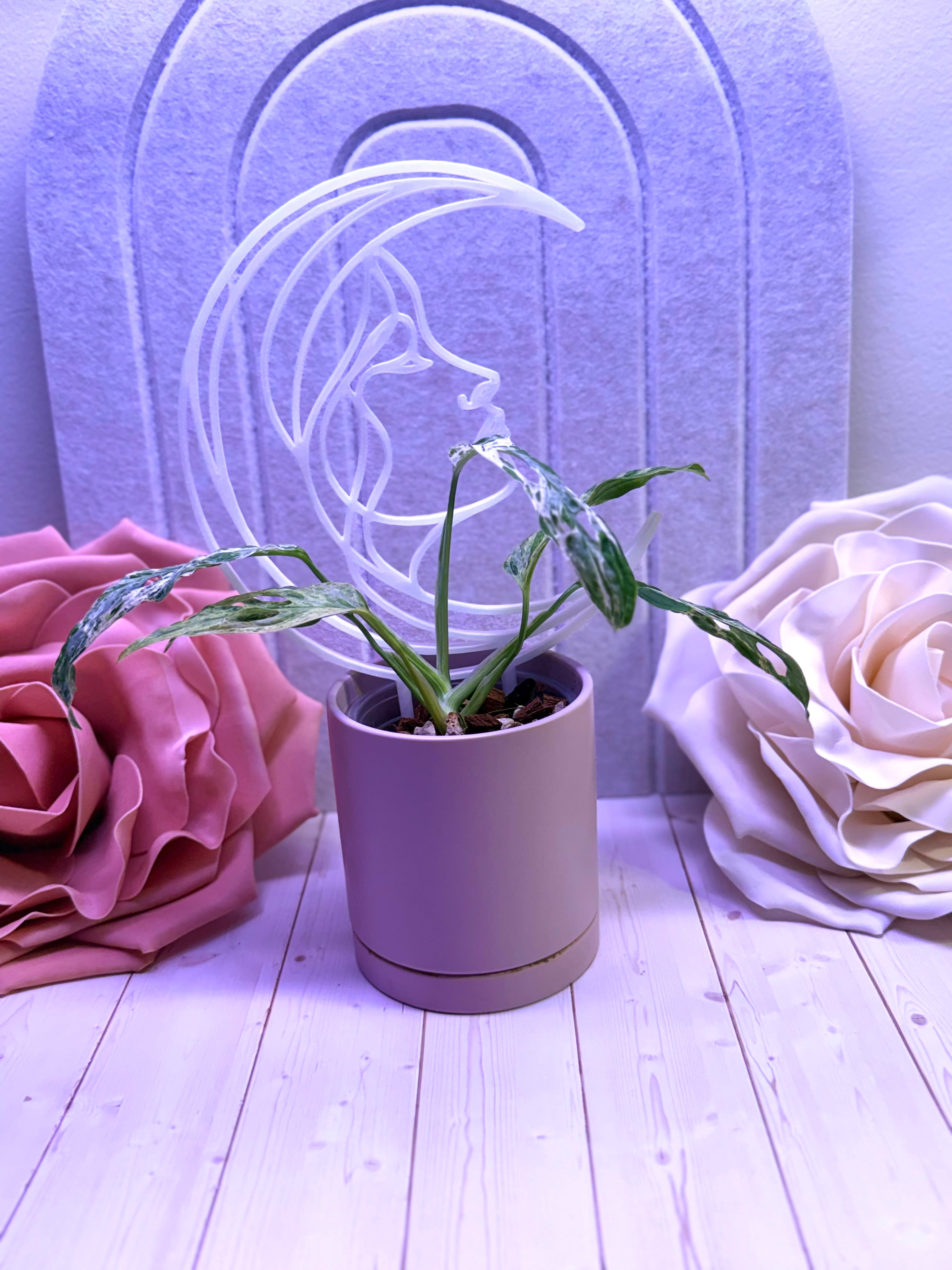 Moon Goddess Plant Trellis