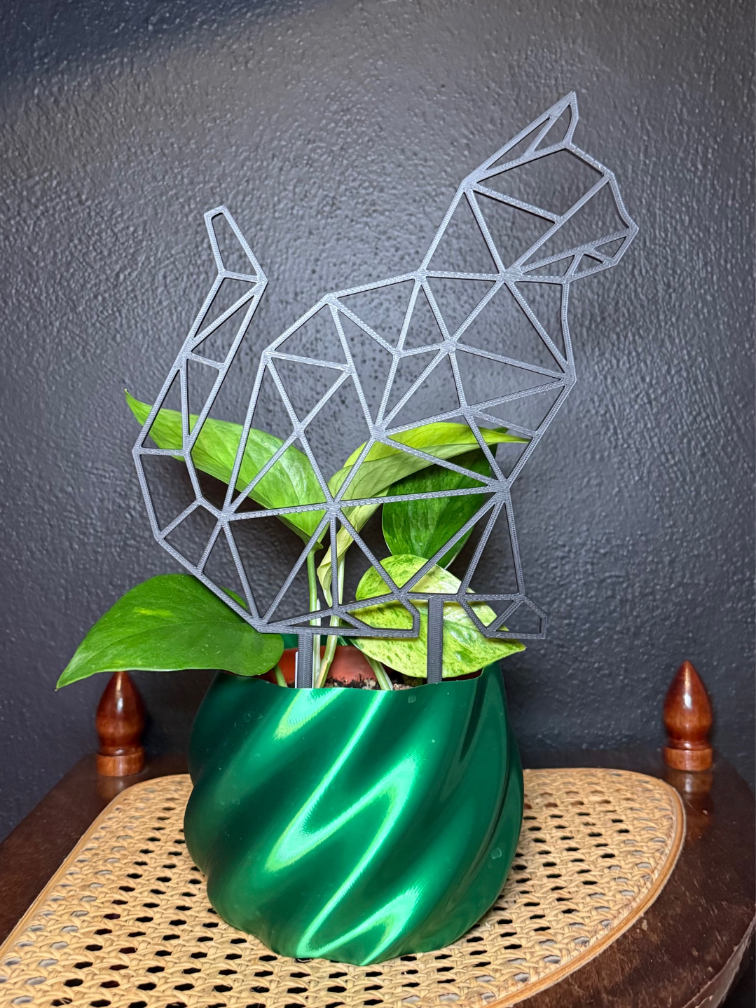 Geometric Cat Trellis