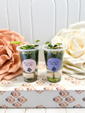 African Violet “VaT in the Sky” — Variegated Standard Starter in Self-Watering Cup