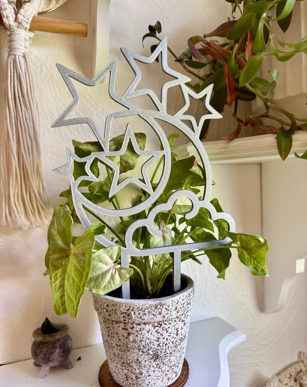 Night Sky Trellis
