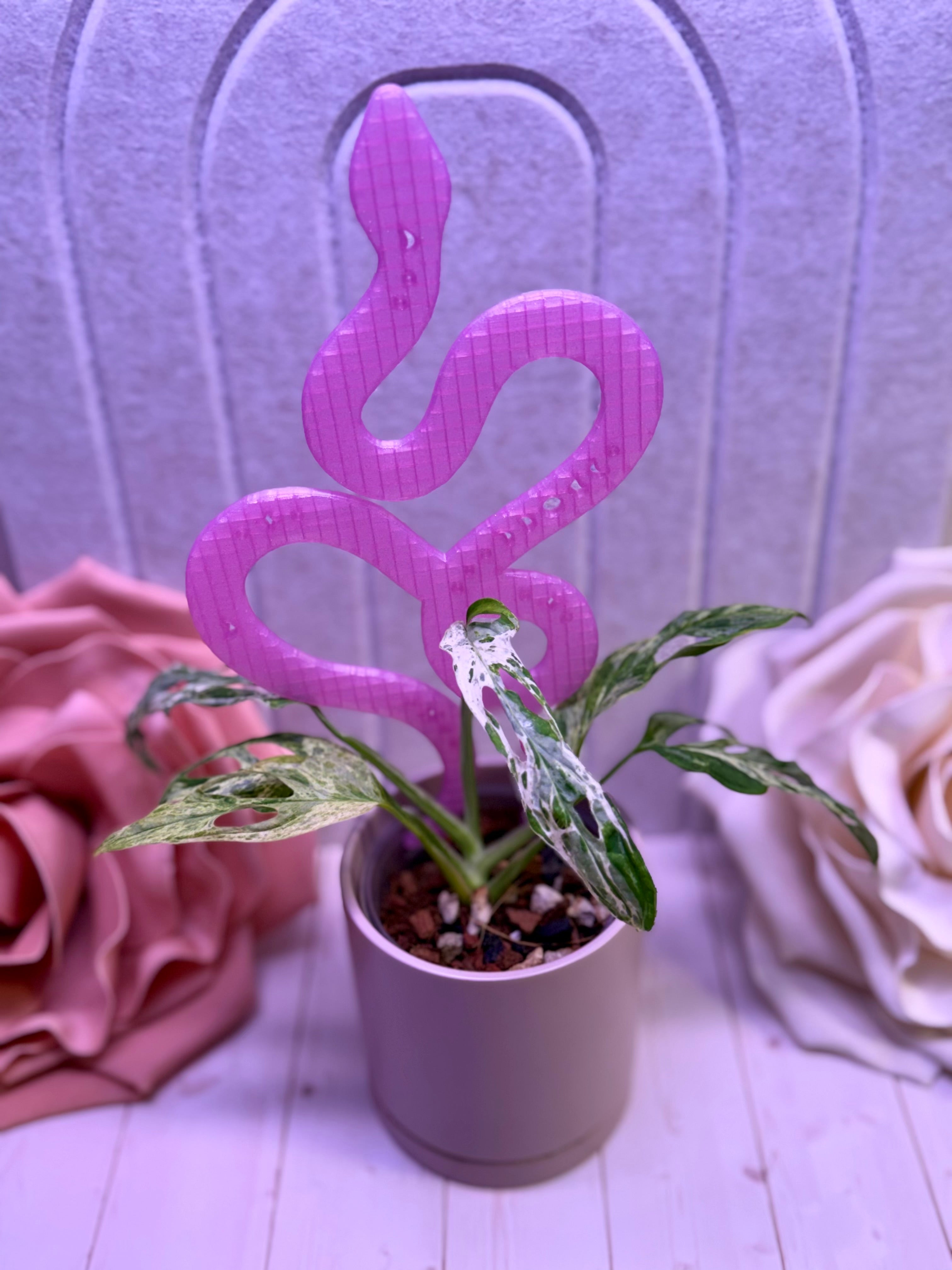 Mystical Snake Support