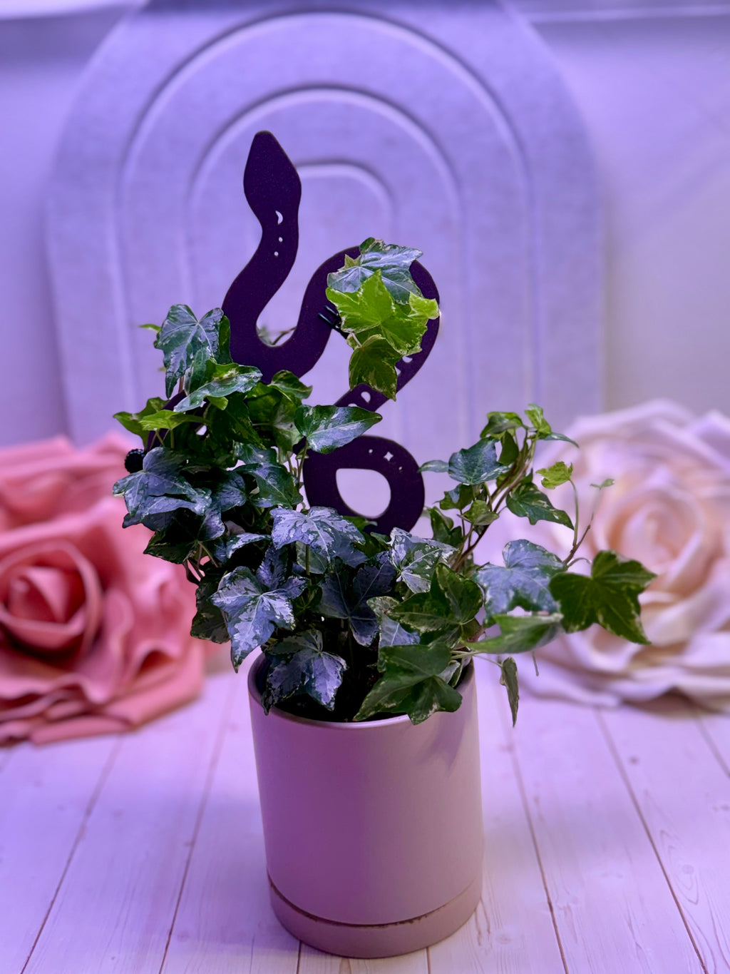 Mystical Snake Support