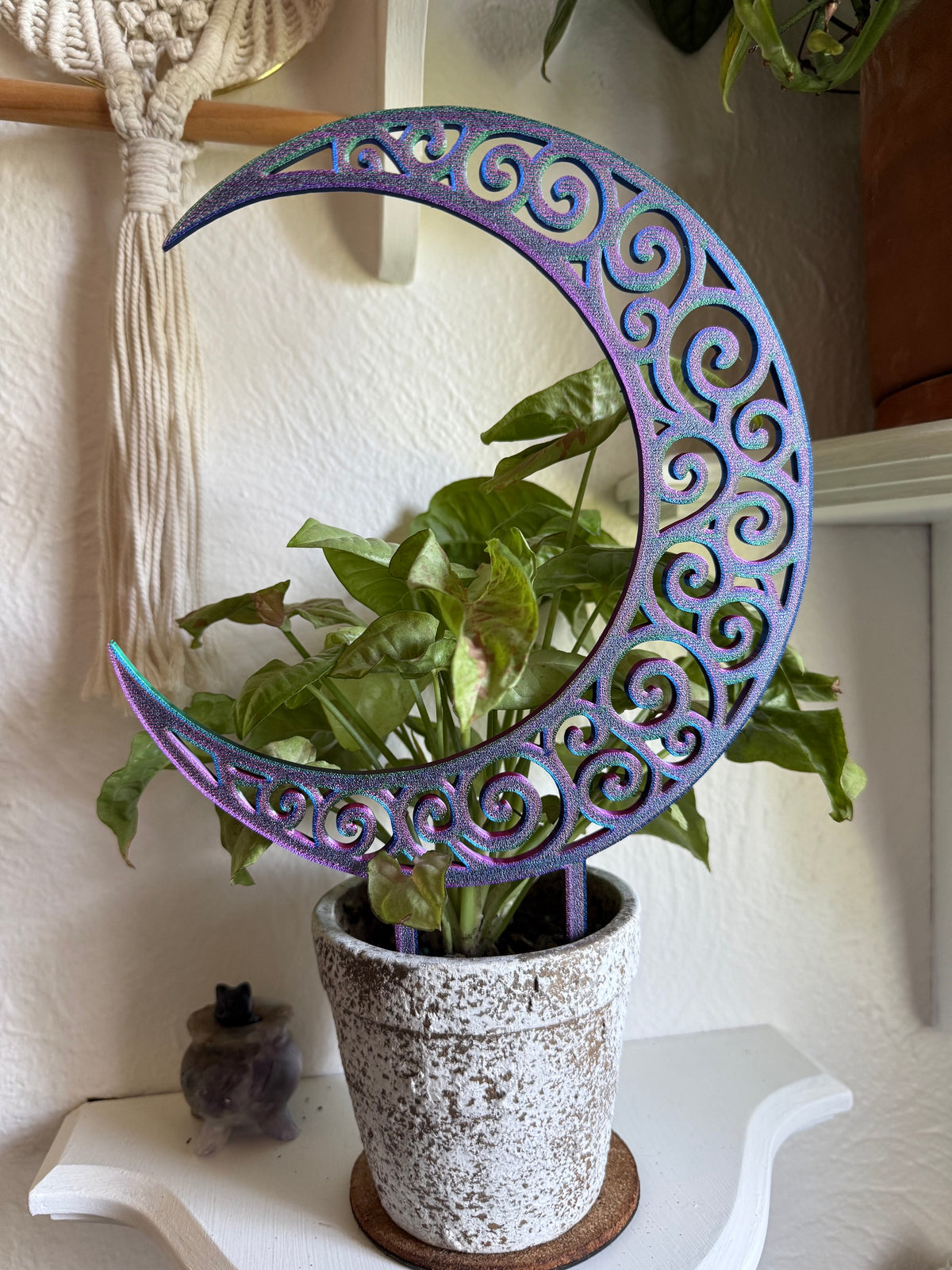 Intricate Moon Trellis