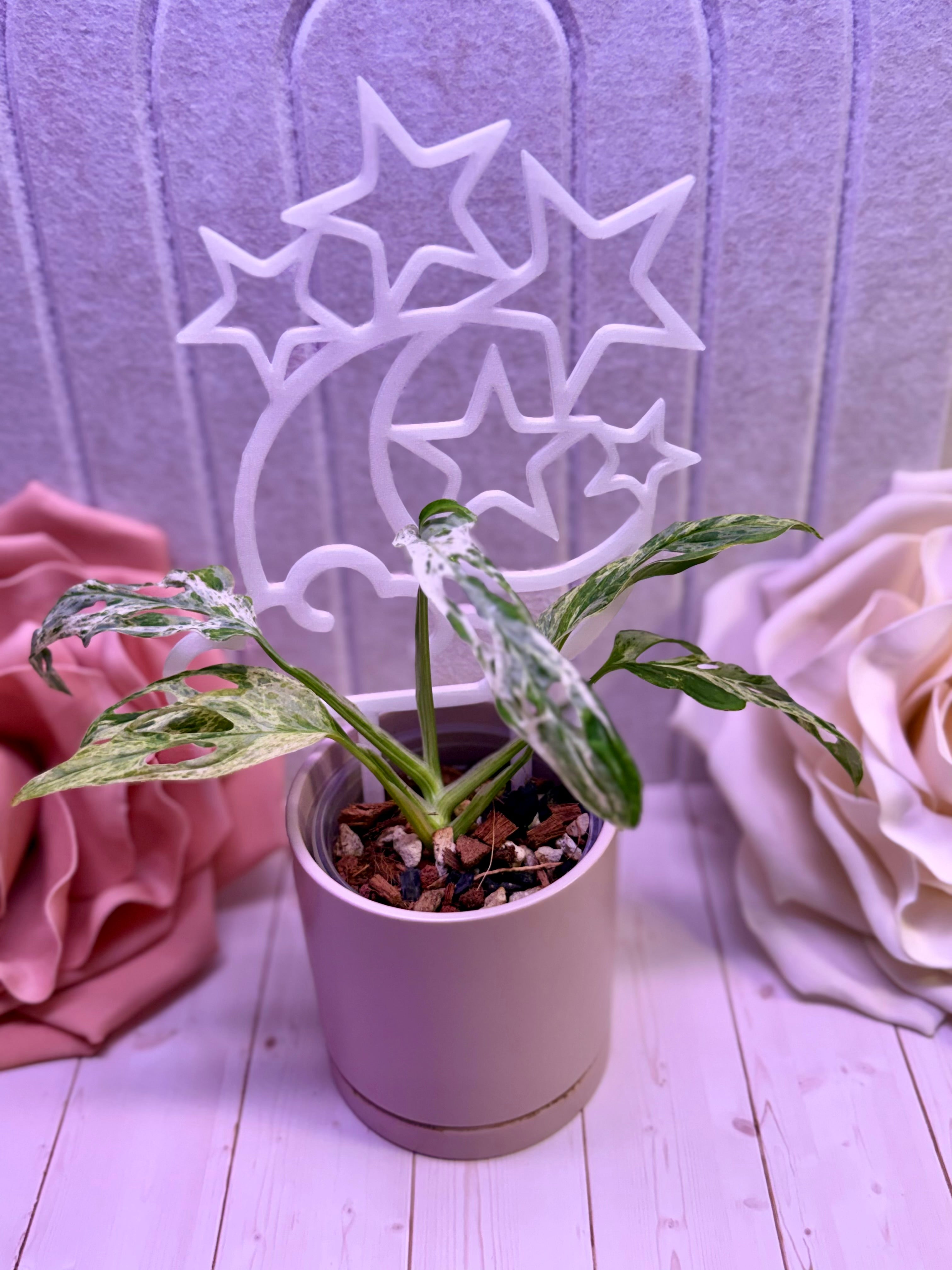 Moon and Stars Trellis