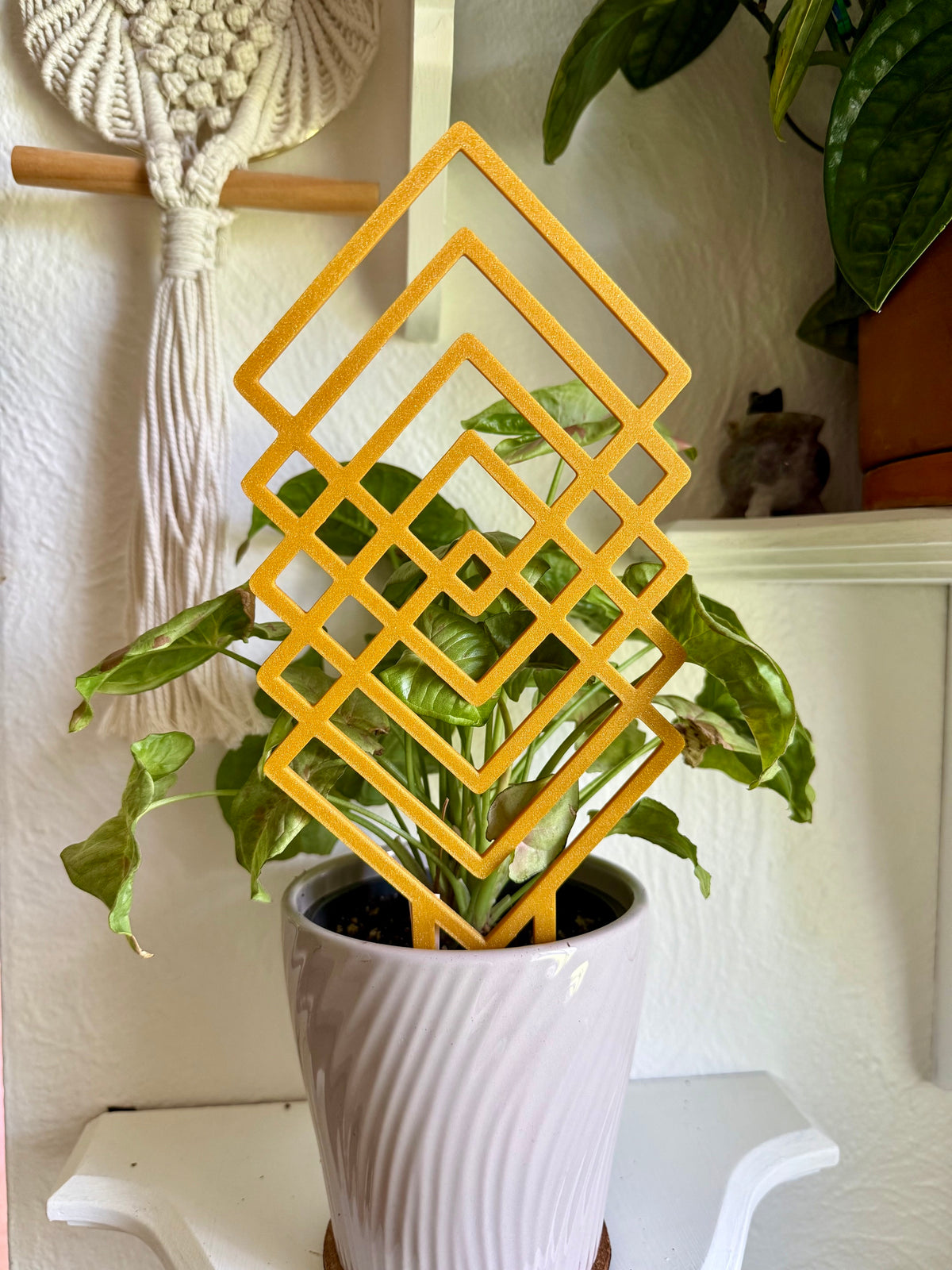 Geometric Trellis