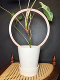 Circle Trellis