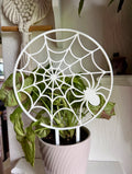 Caught in your Web Trellis