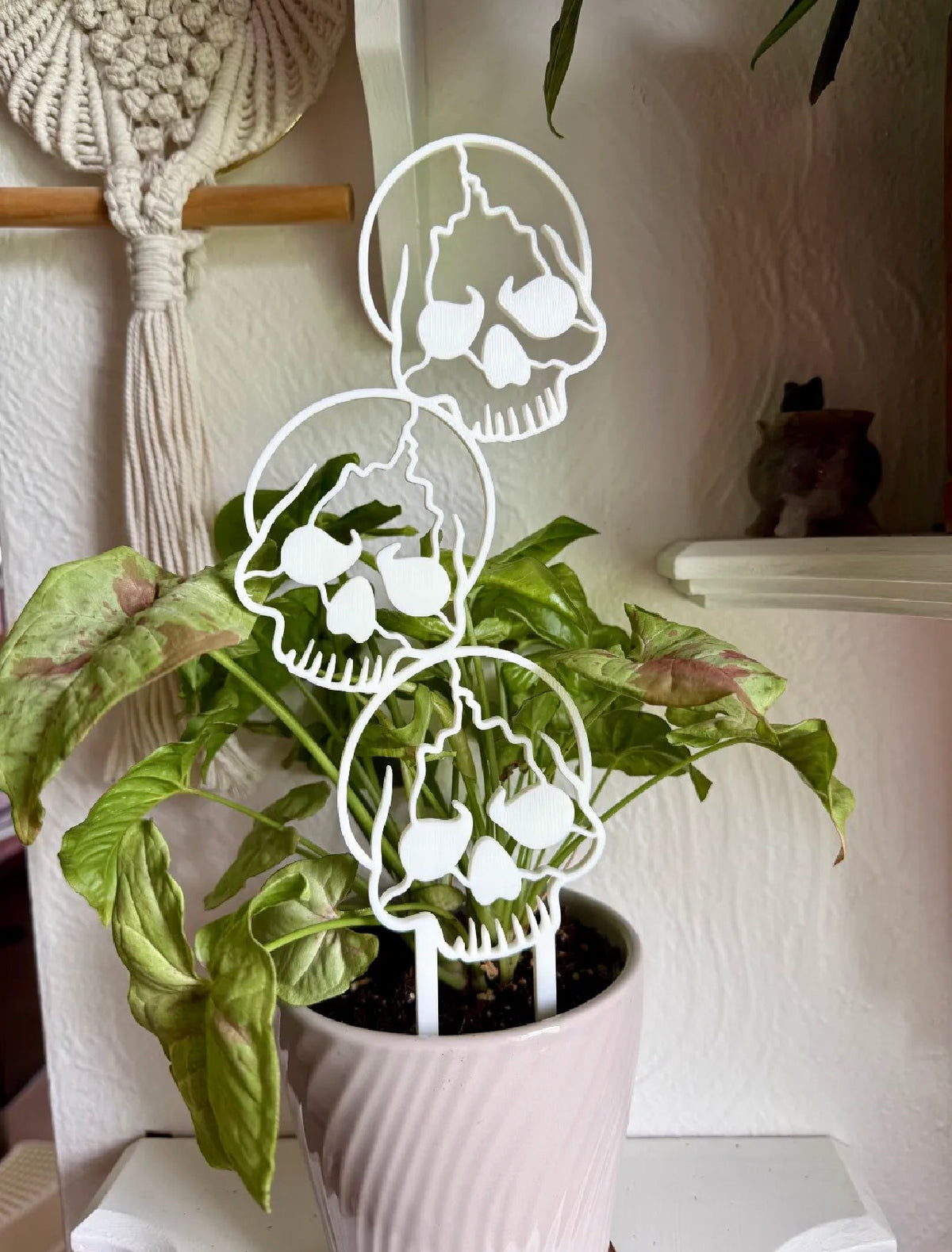 Stacked Skulls Trellis