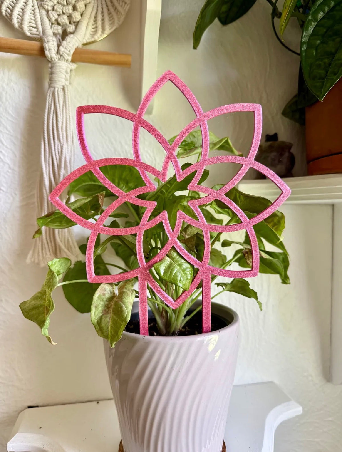 Bloom Trellis
