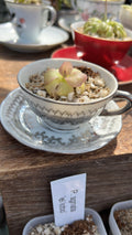 Pinguicula Agnata “El Lobo” in teacup