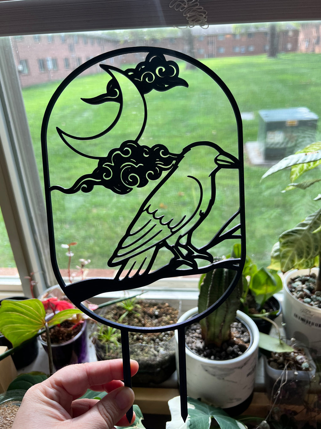 Night Raven Trellis