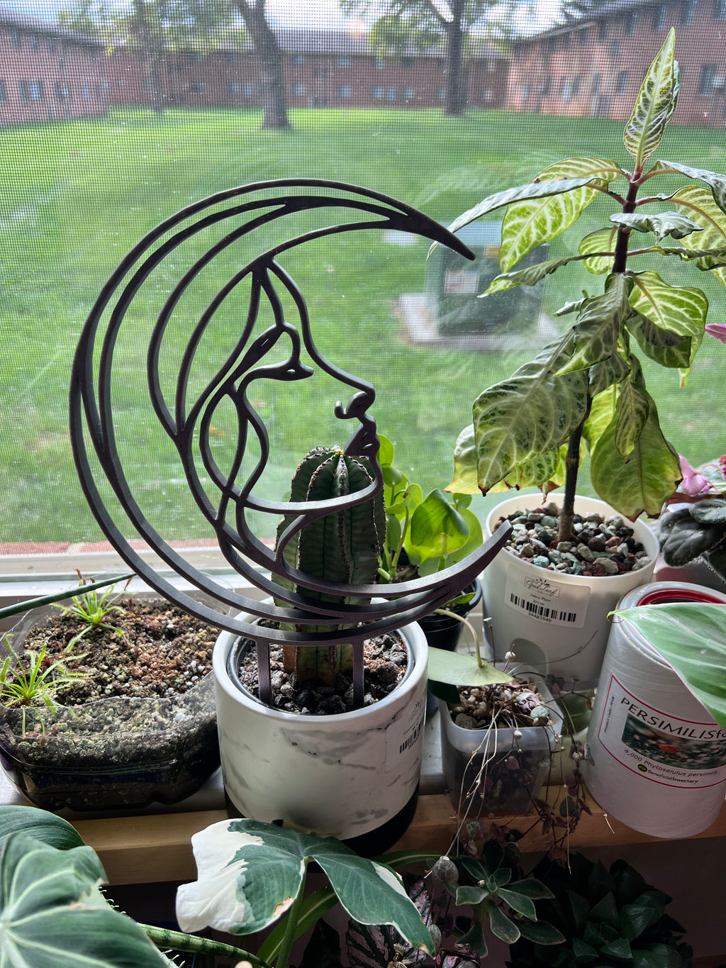 Moon Goddess Plant Trellis